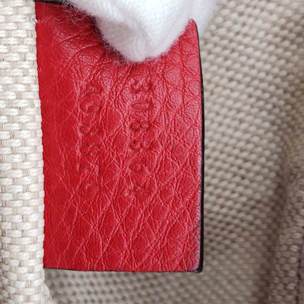 Gucci Diorsco Camera Crossbody Bag
