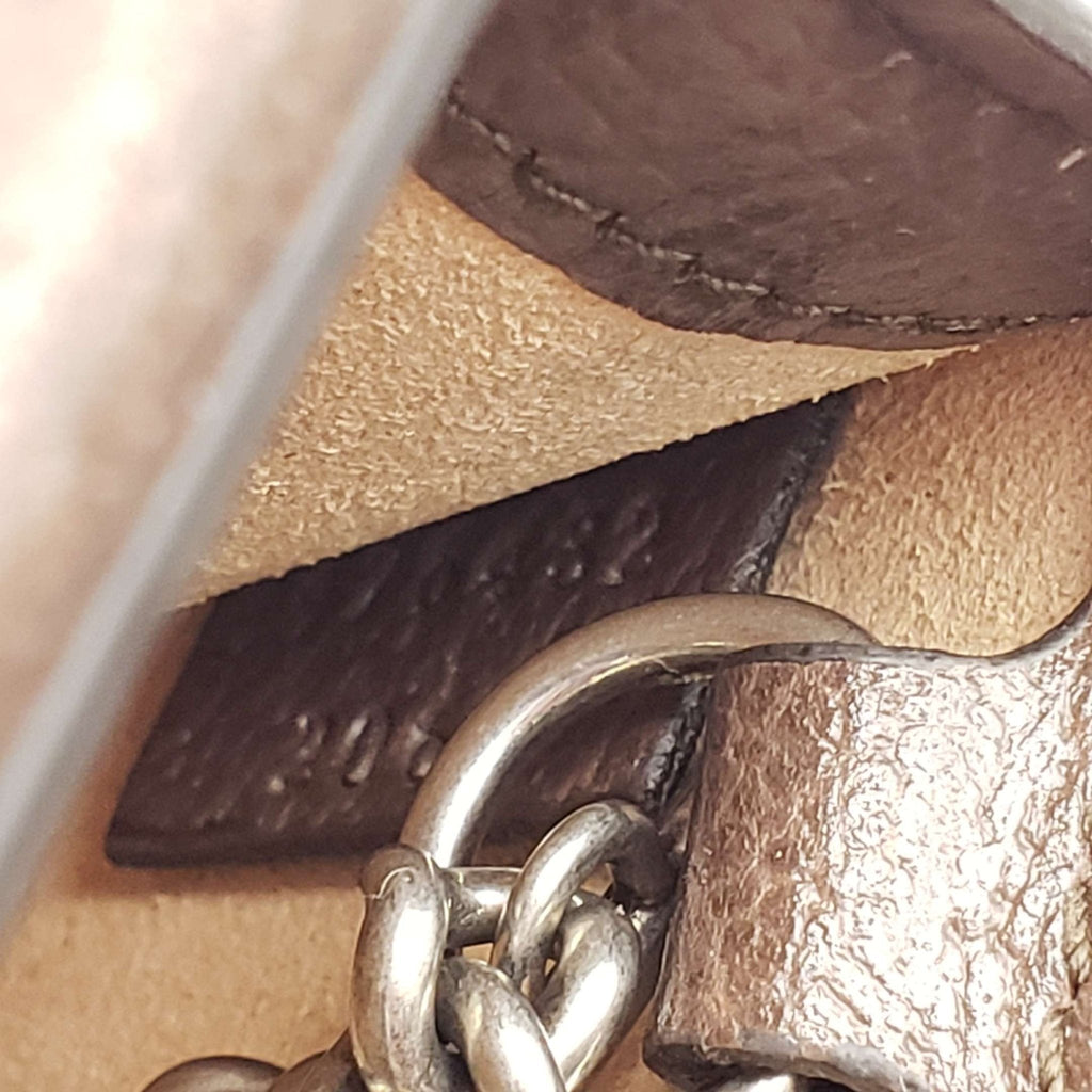 Gucci Gucci Dioronysus Supermini Wallet on Chain Crossbody Bag