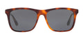 Gucci GG 0381S 009 Rectangle Plastic Havana Sunglasses with Blue Lens