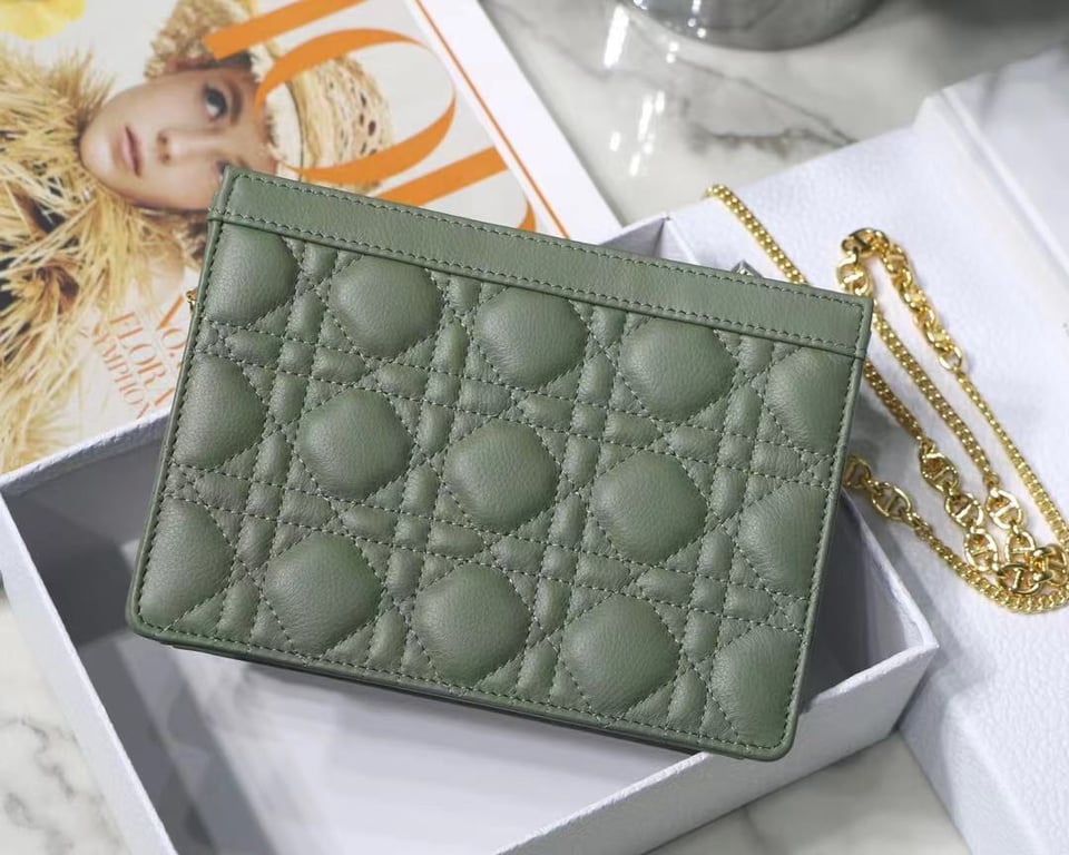dir CARO ZIPPED POUCH WITH CHAIN CEDAR GREEN S5106UWHC_M67H
