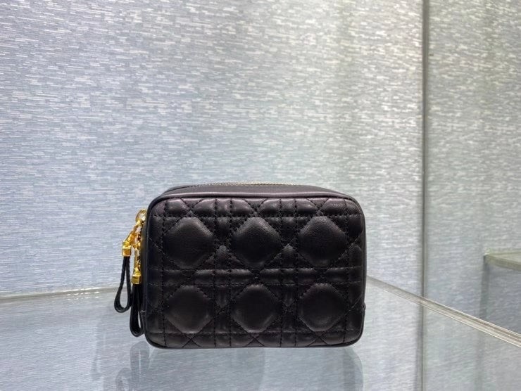 dir SMALL CARO ZIPPED POUCH BLACK CANNAGE  S5045UNSQ M900