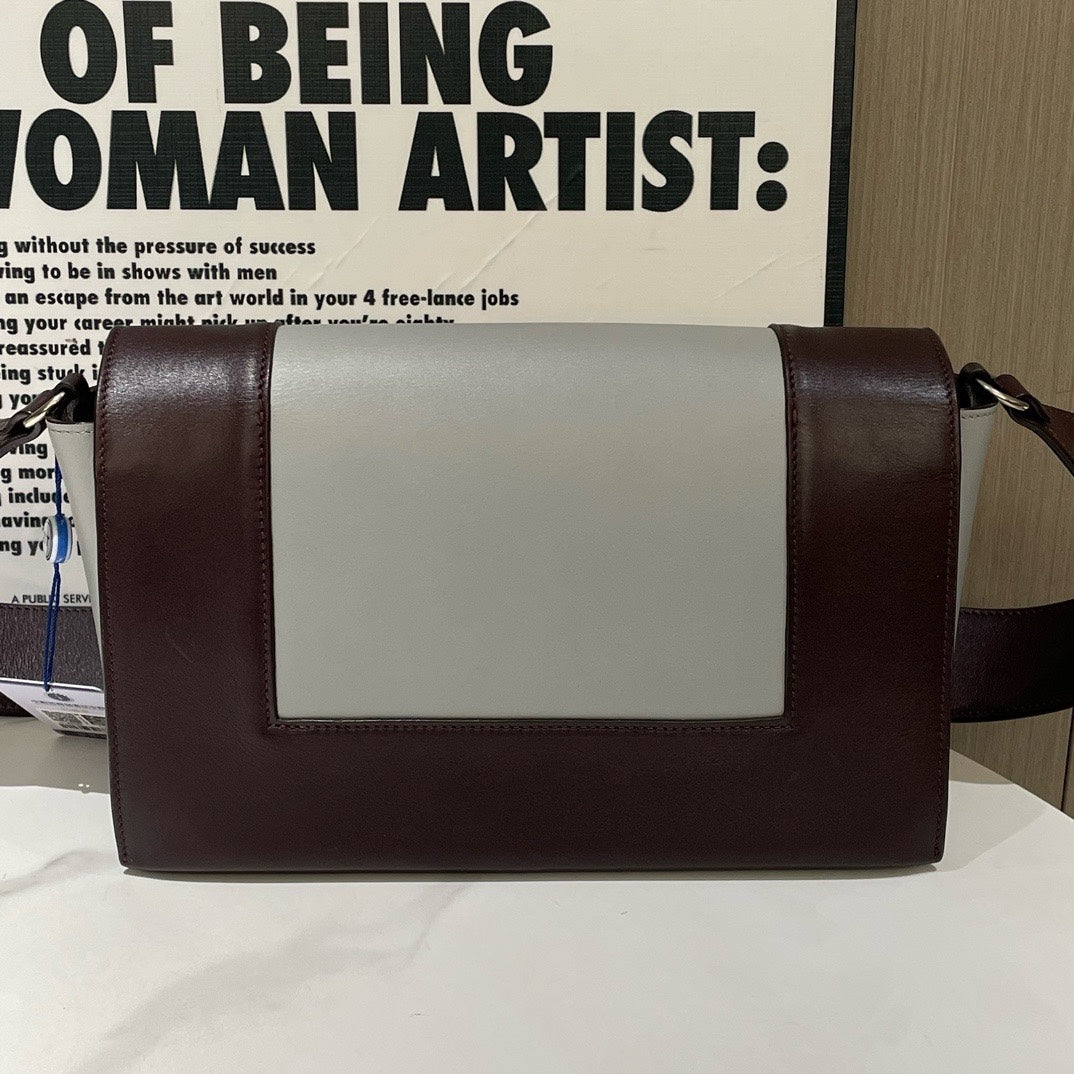 Celineline Frame Bag Brown and Gray Shoulder Bag