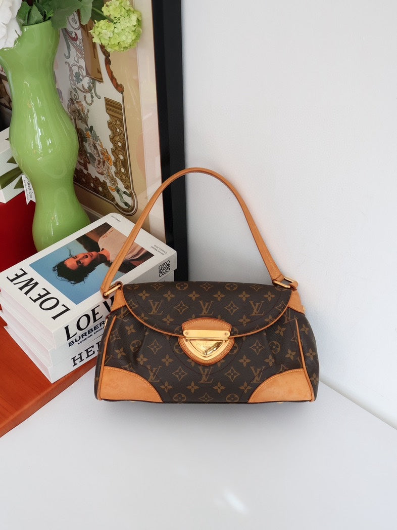 Louis Vuitton Monogram Sologne Brown Shoulder Bag
