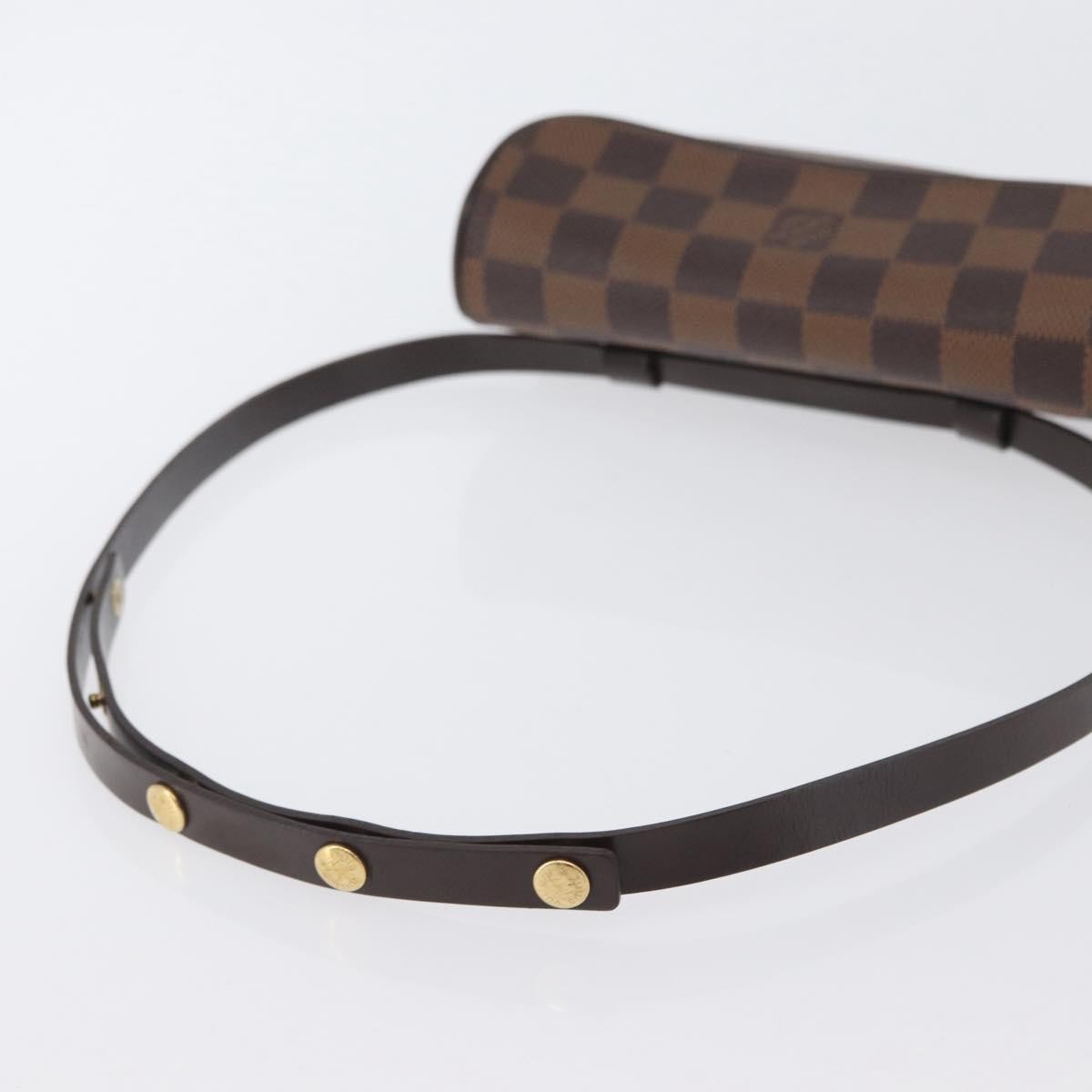 Louis Vuitton Florentine Waist Bag Monogram Canvas Brown Canvas Clutche & Pouche Bag