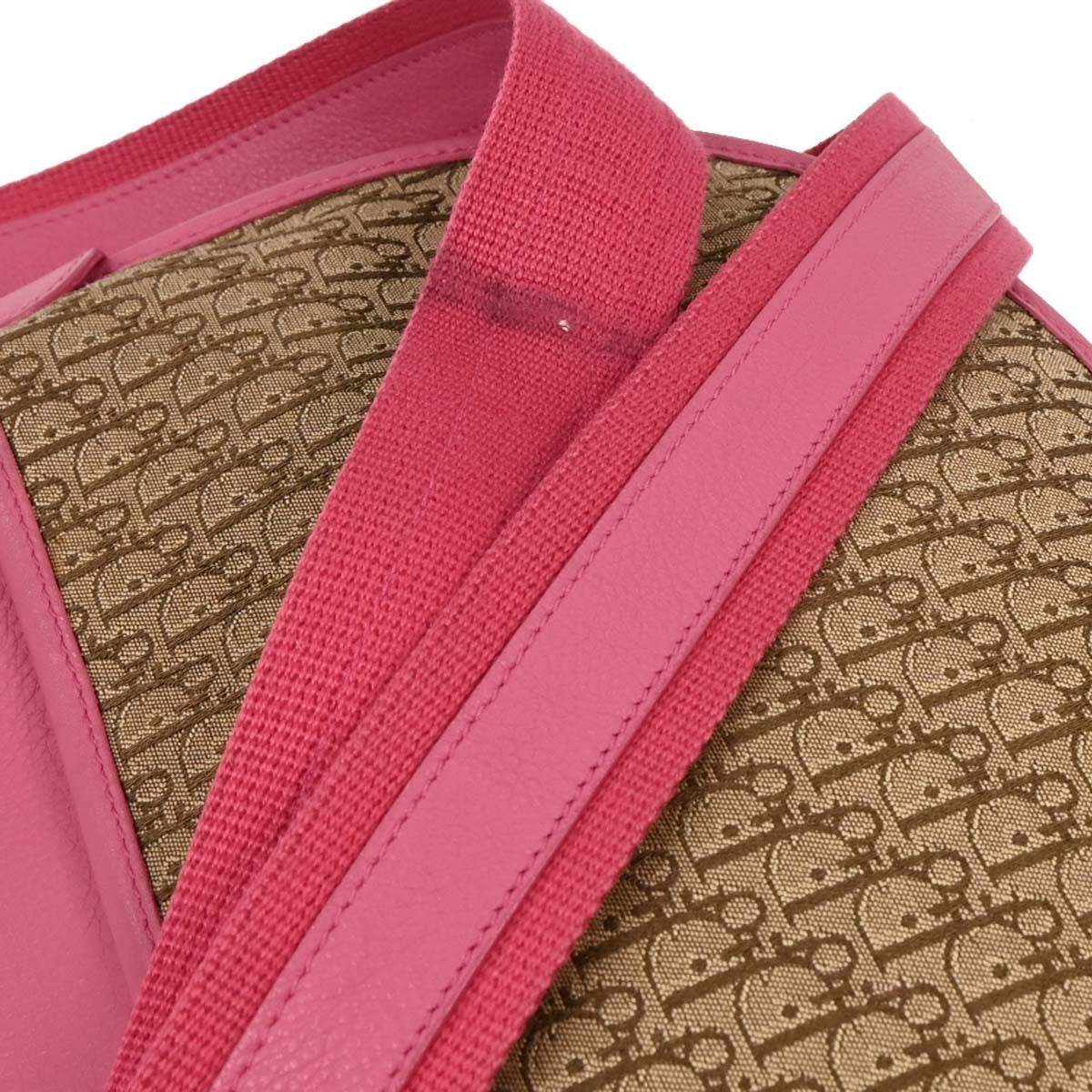 Christian Dior Trotter Shoulder Bag Canvas Beige Canvas Shoulder Bag Bag (Pre-Owned)