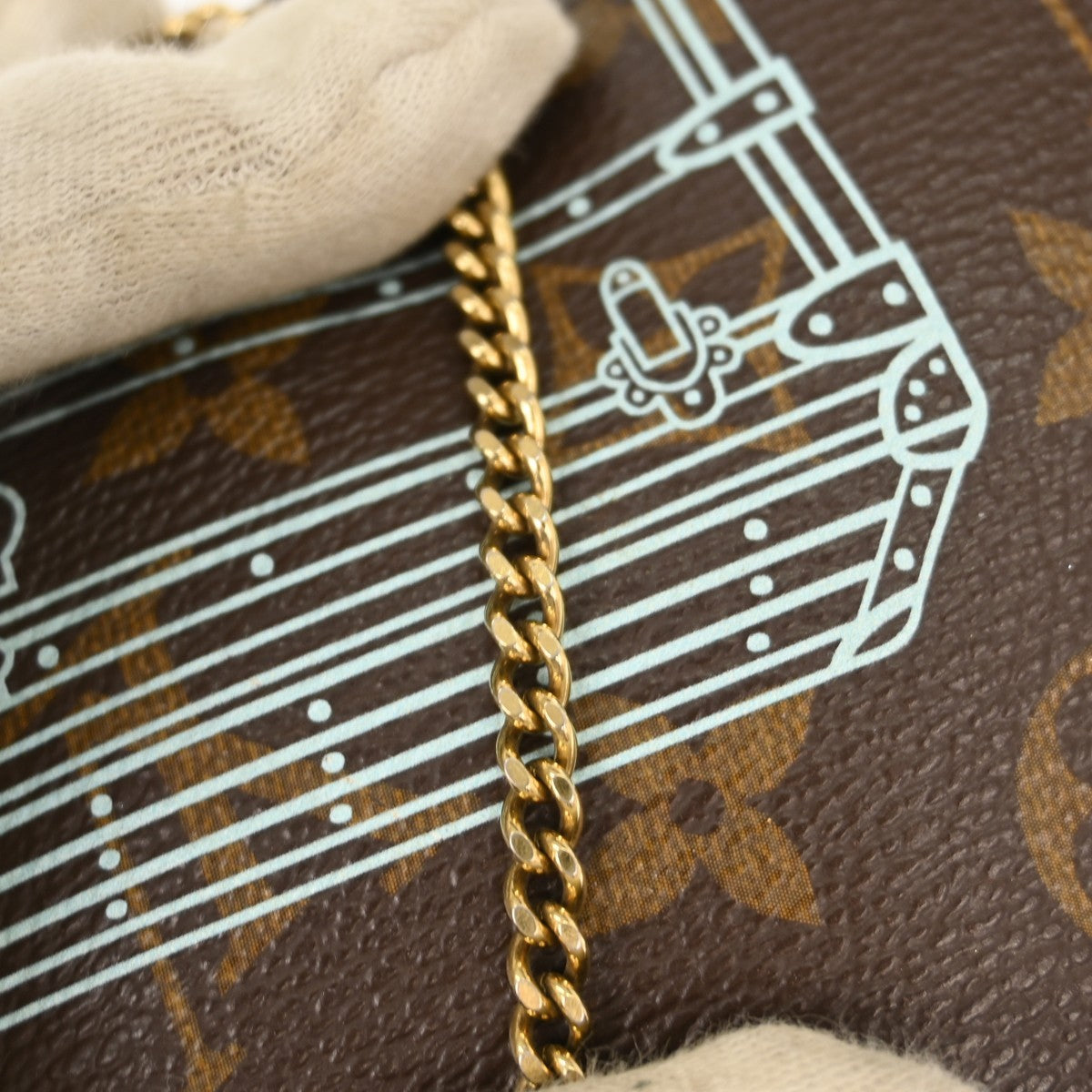 Louis Vuitton Pochette Accessoires Limited Edition Monogram Canvas Brown Canvas Clutche & Pouche Bag