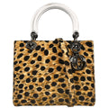 Christian Dior Vintage Lady Dior Bag Printed Canvas Multicolour Canvas Tote Bag Bag (Pre-Owned)