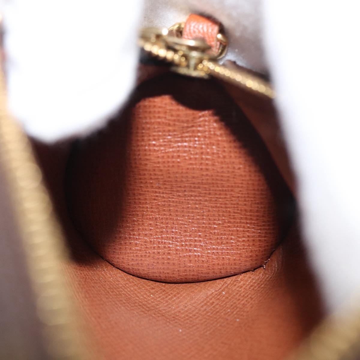 Louis Vuitton Papillon Pochette Monogram Canvas Brown Canvas Clutche & Pouche Bag