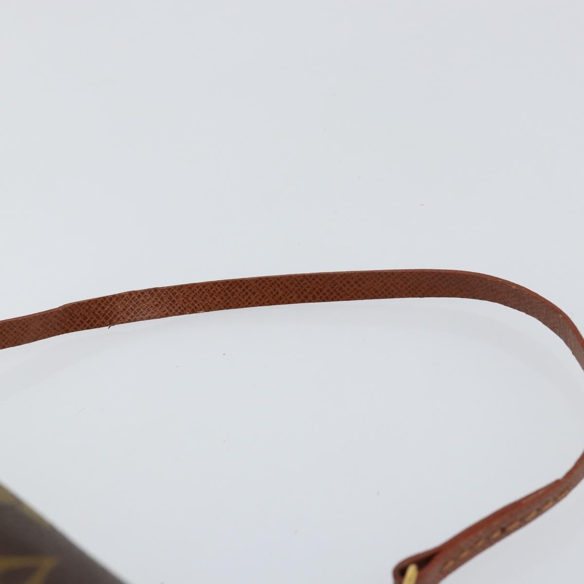 Louis Vuitton Papillon Pochette Monogram Canvas Brown Canvas Clutche & Pouche Bag