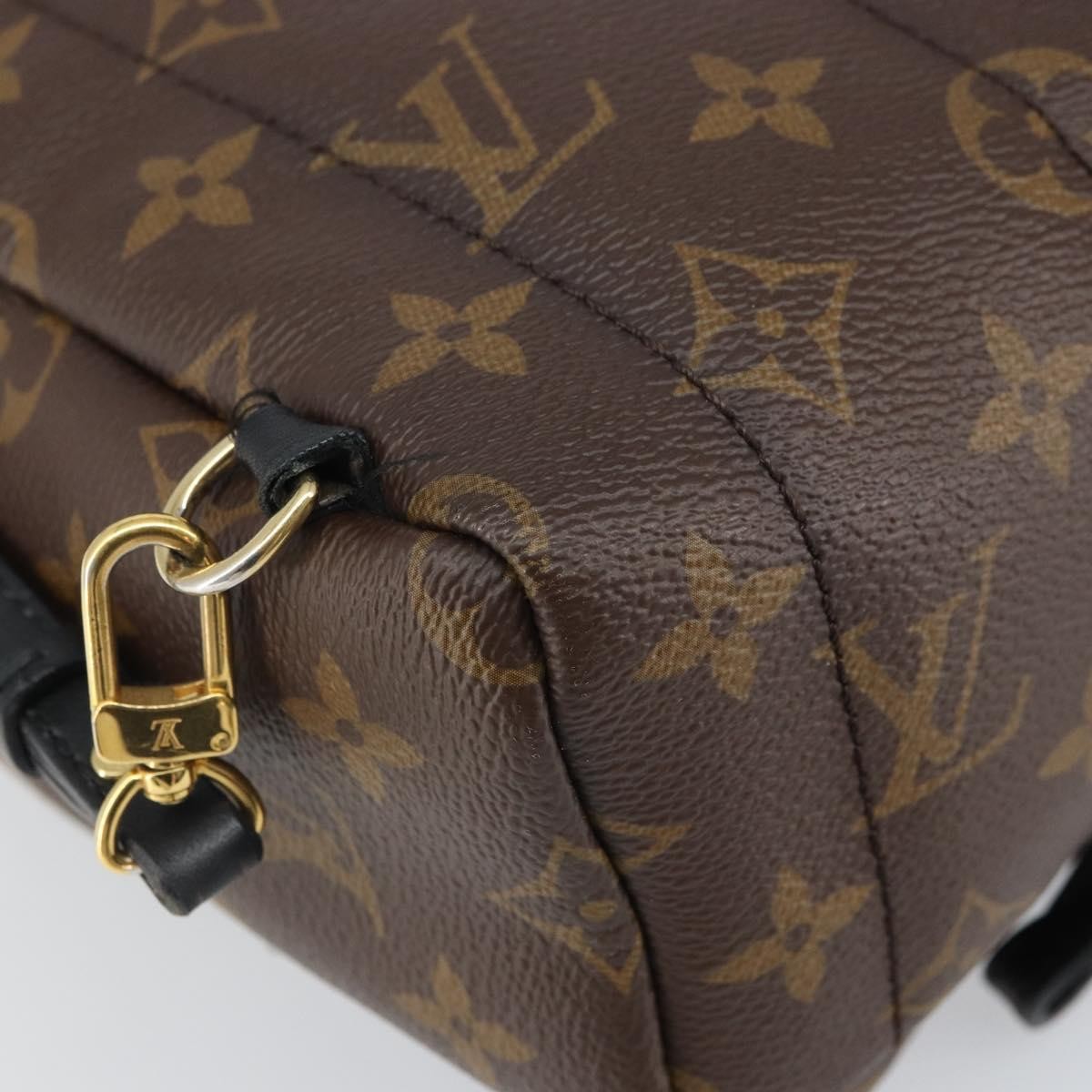 Louis Vuitton Palm Springs Backpack Monogram Canvas Brown Canvas Backpack Bag