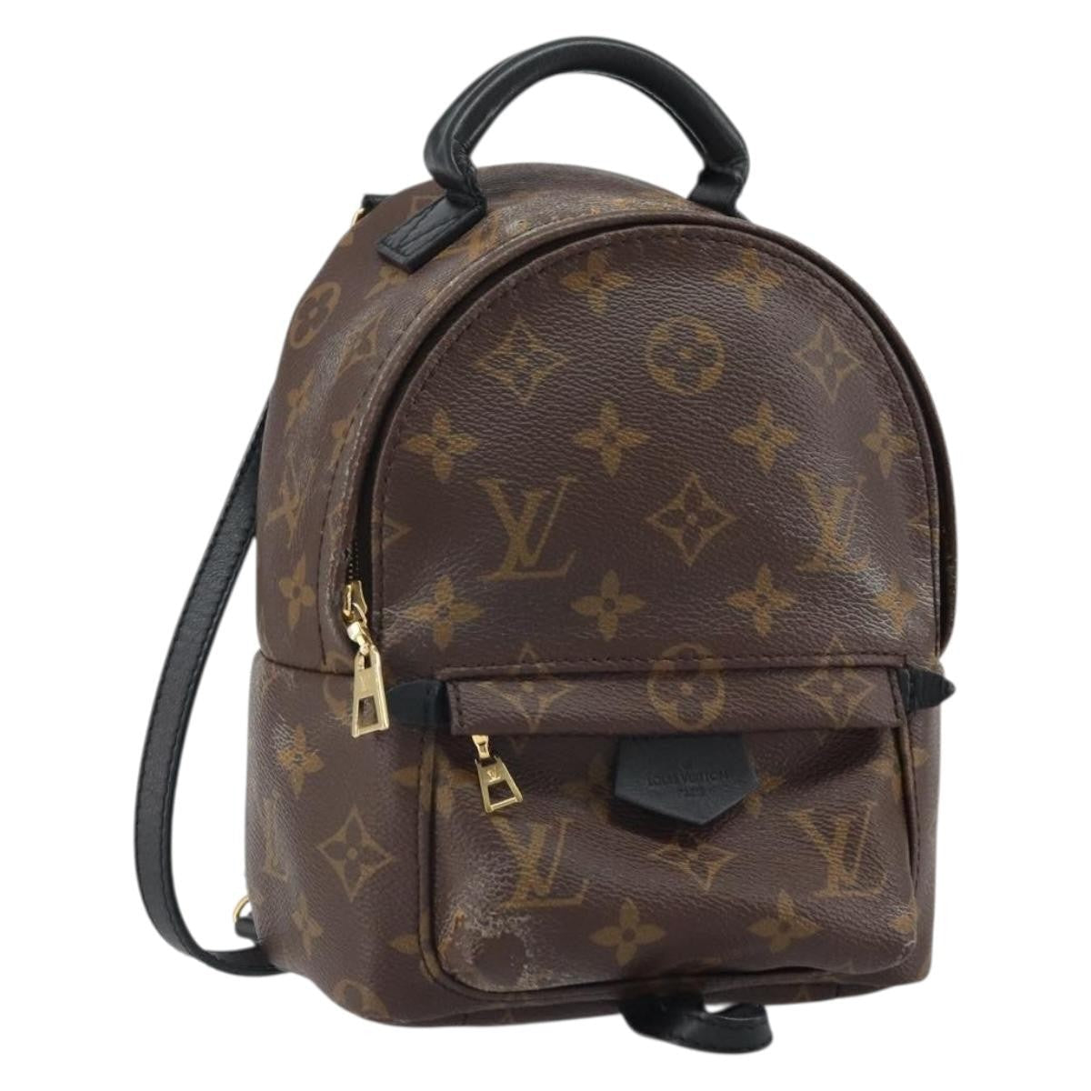 Louis Vuitton Palm Springs Backpack Monogram Canvas Brown Canvas Backpack Bag