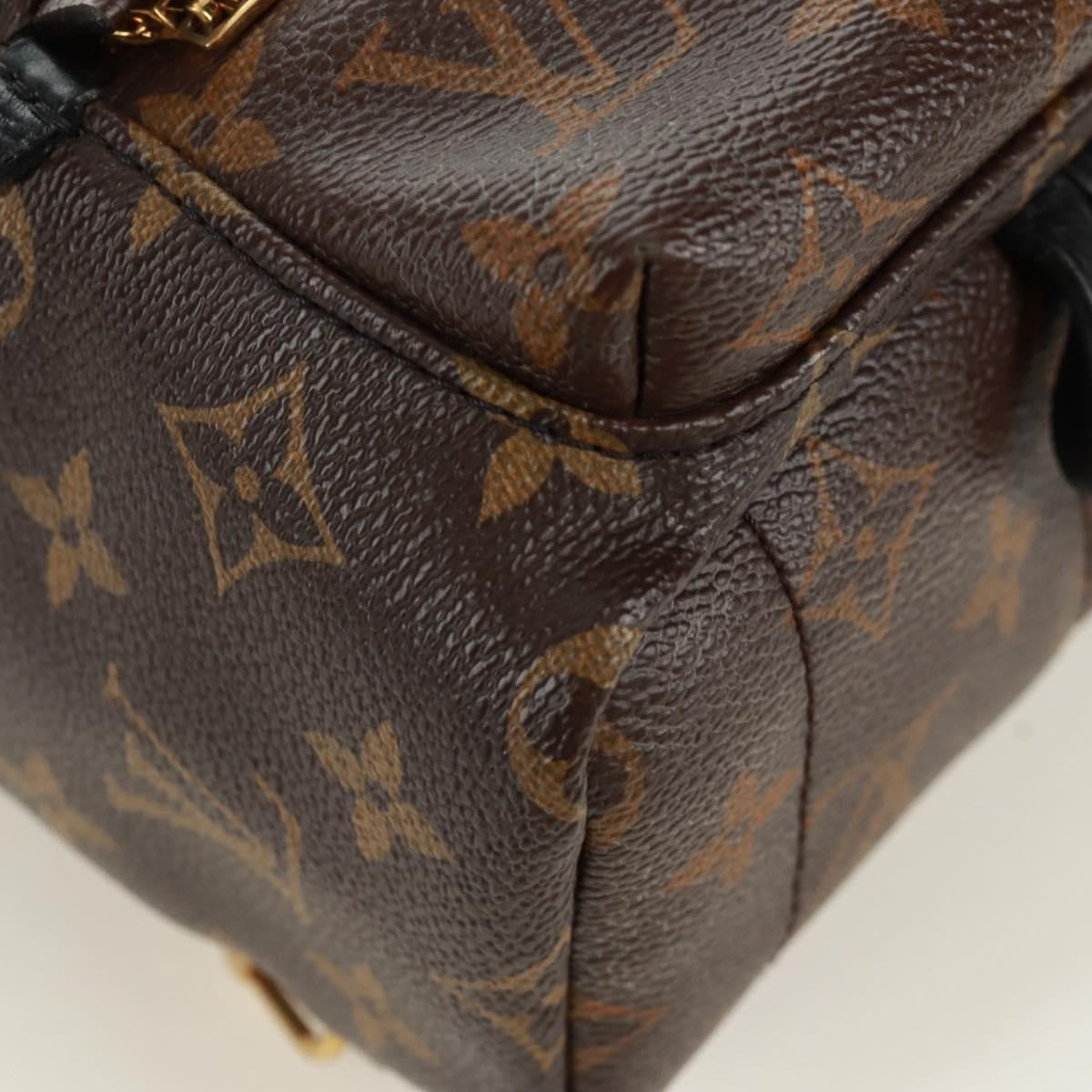 Louis Vuitton Palm Springs Backpack Limited Edition World Tour Monogram Canvas Brown Canvas Backpack Bag