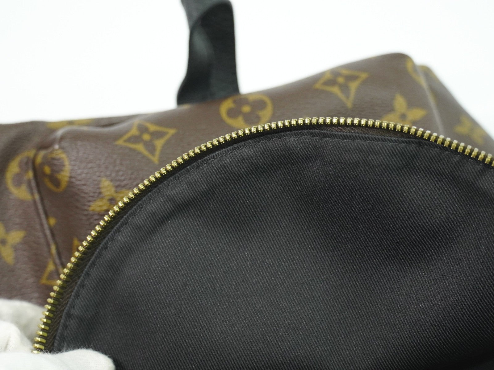Louis Vuitton Palm Springs Backpack Monogram Canvas Brown Canvas Backpack Bag