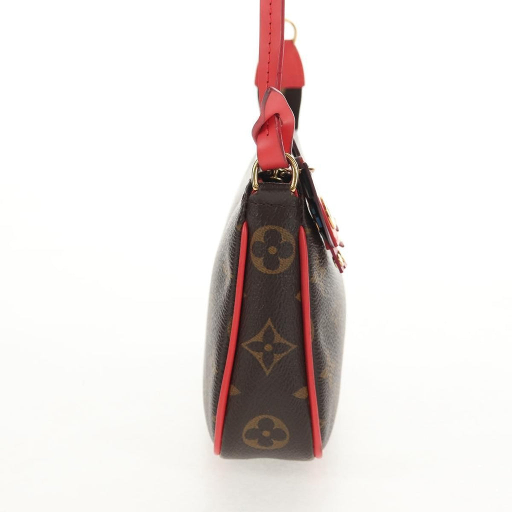 Louis Vuitton Pochette Accessoires Nm Limited Edition Totem Monogram Canvas Brown Canvas Clutche & Pouche Bag
