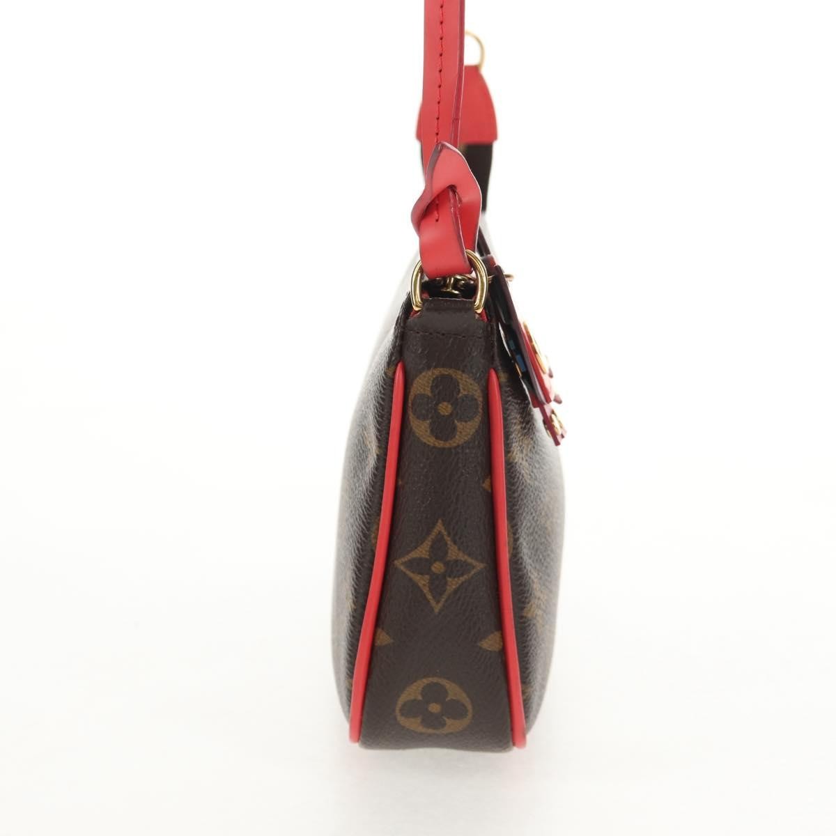 Louis Vuitton Pochette Accessoires Nm Limited Edition Totem Monogram Canvas Brown Canvas Clutche & Pouche Bag