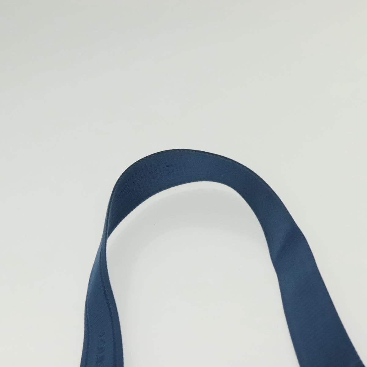 Louis Vuitton Ambler Bag Damier Infini Leather Blue Leather Shoulder Bag