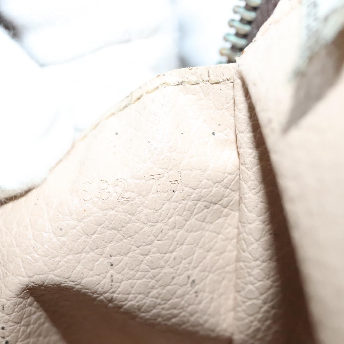 Louis Vuitton Trousse Toilette Monogram Canvas Brown Canvas Clutche & Pouche Bag