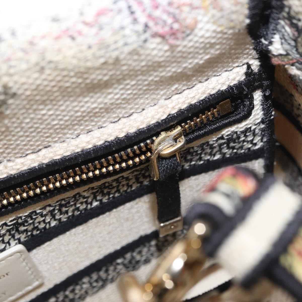 Christian Dior Lady D-Lite Bag Embroidered Canvas Multicolour Canvas Handbag (Pre-Owned)