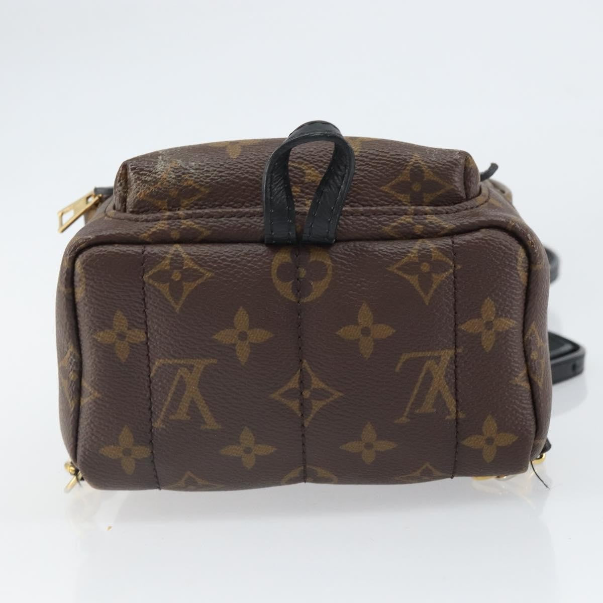 Louis Vuitton Palm Springs Backpack Monogram Canvas Brown Canvas Backpack Bag