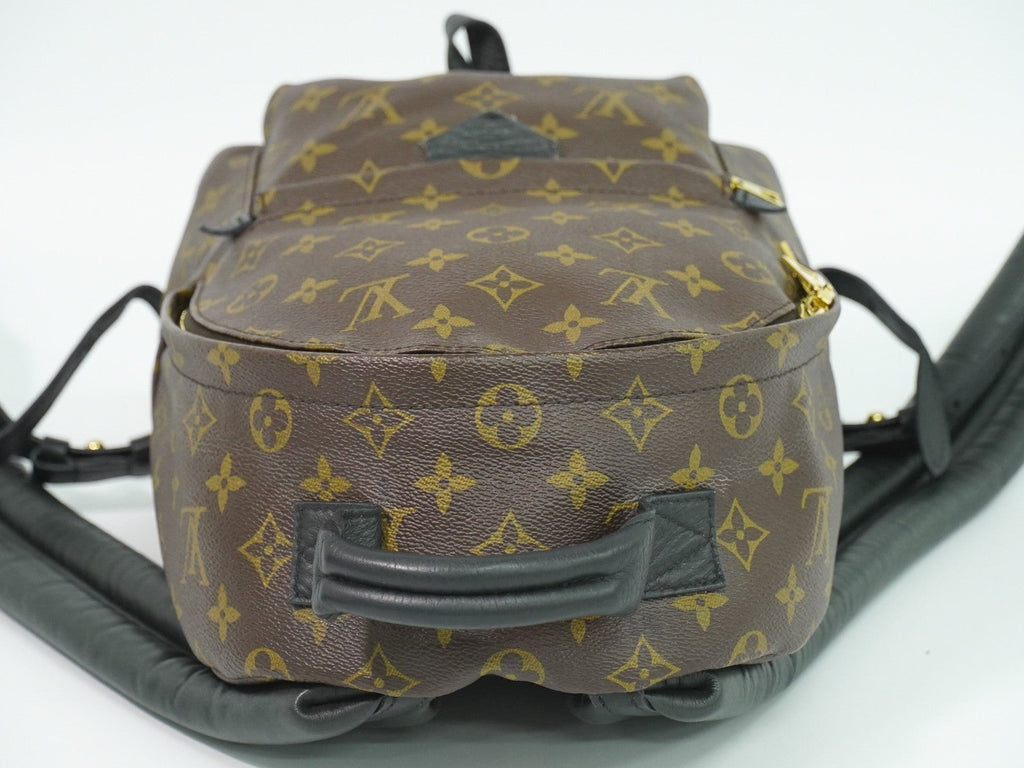 Louis Vuitton Palm Springs Backpack Monogram Canvas Brown Canvas Backpack Bag