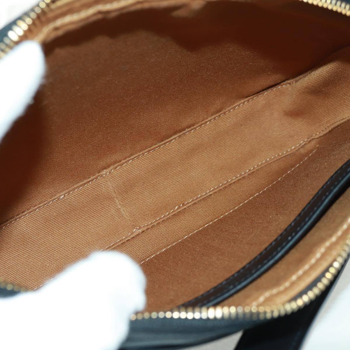 Celine Logo Messenger Bag Triomphe Coated Canvas Black Pvc Shoulder Bag Bag