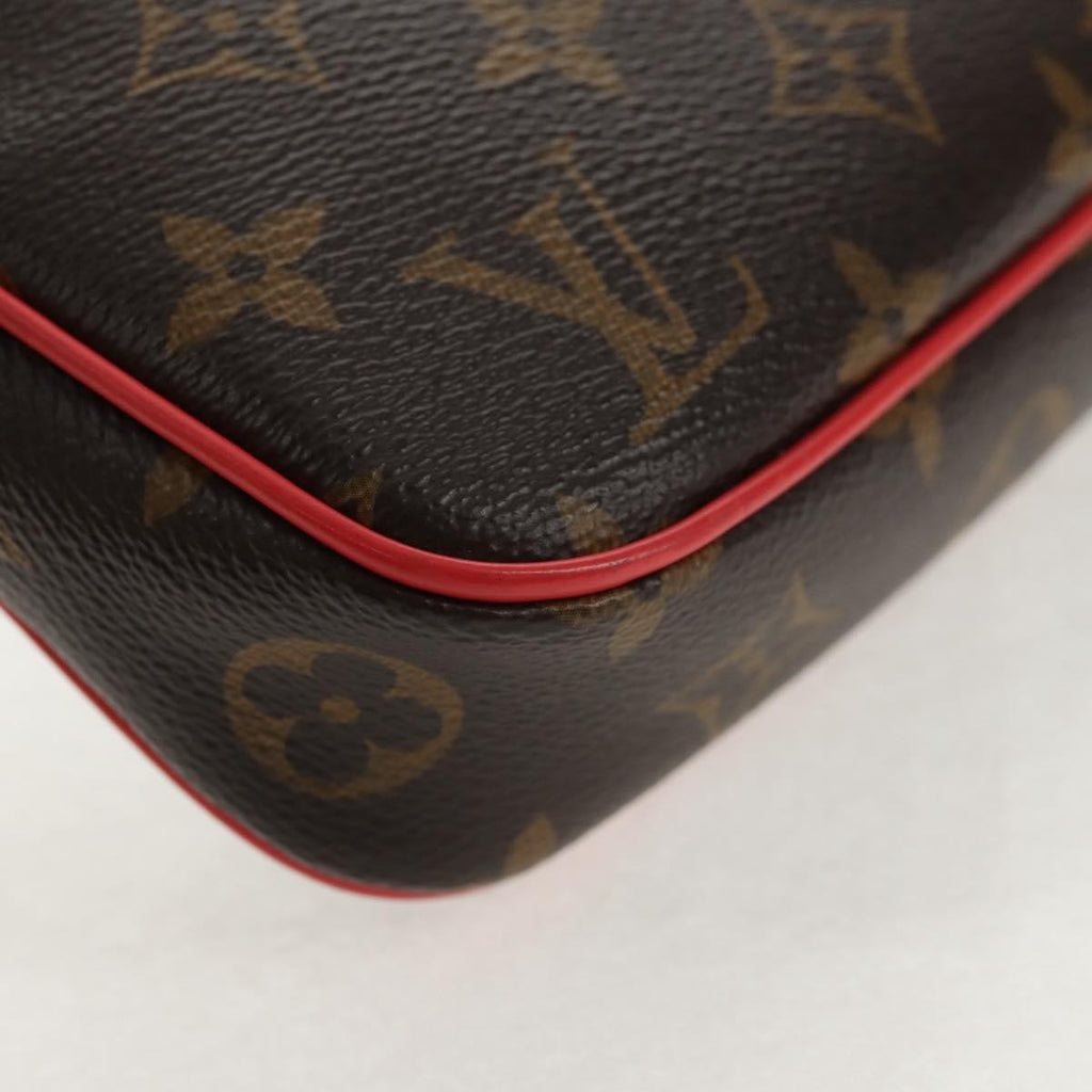 Louis Vuitton Pochette Accessoires Nm Limited Edition Totem Monogram Canvas Brown Canvas Clutche & Pouche Bag