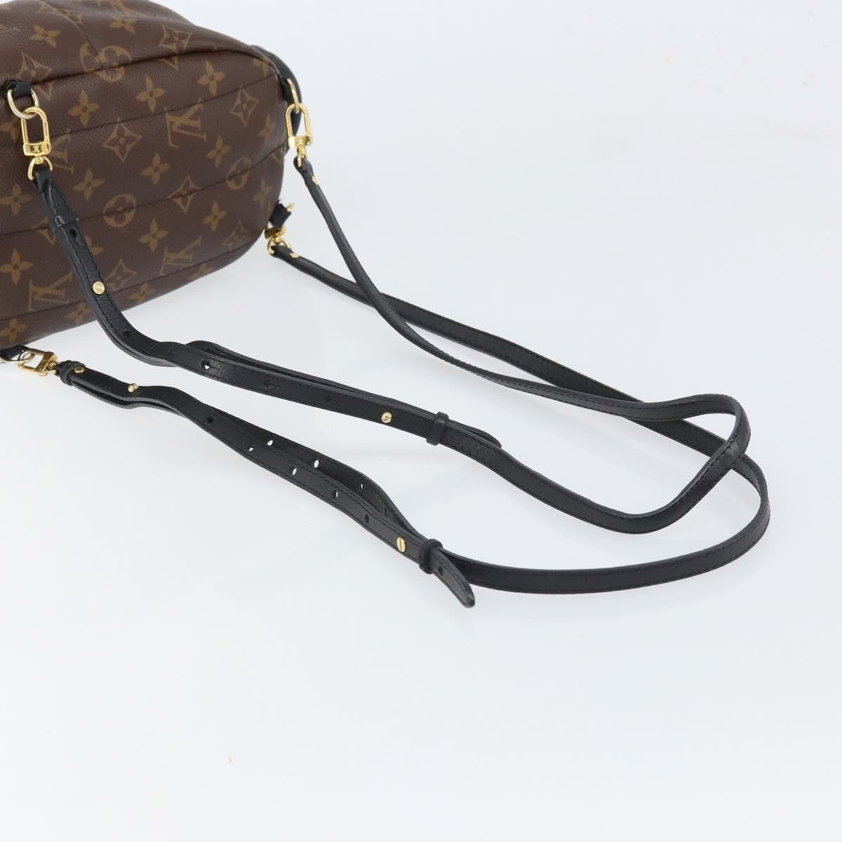 Louis Vuitton Palm Springs Backpack Monogram Canvas Brown Canvas Backpack Bag