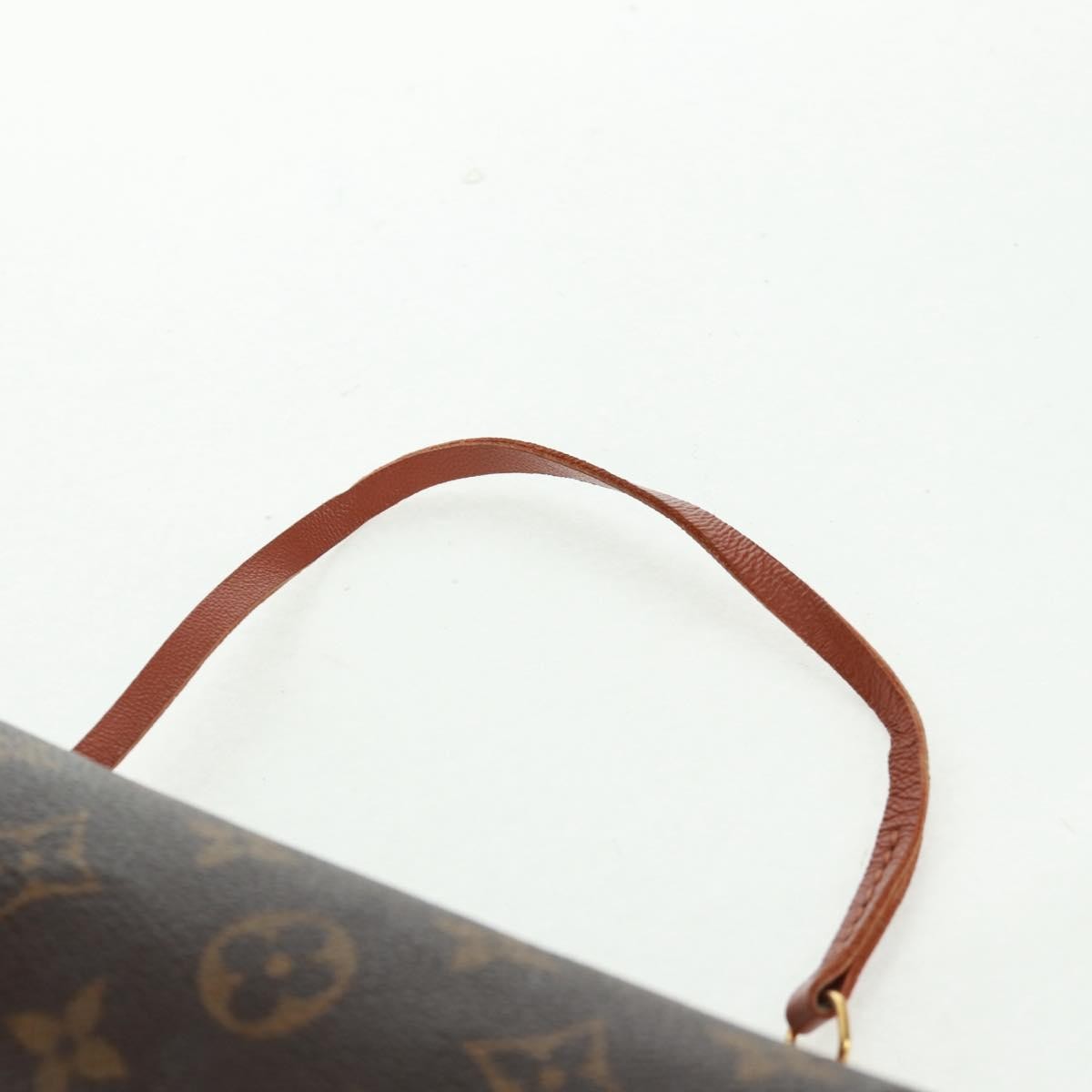Louis Vuitton Papillon Pochette Monogram Canvas Brown Canvas Clutche & Pouche Bag