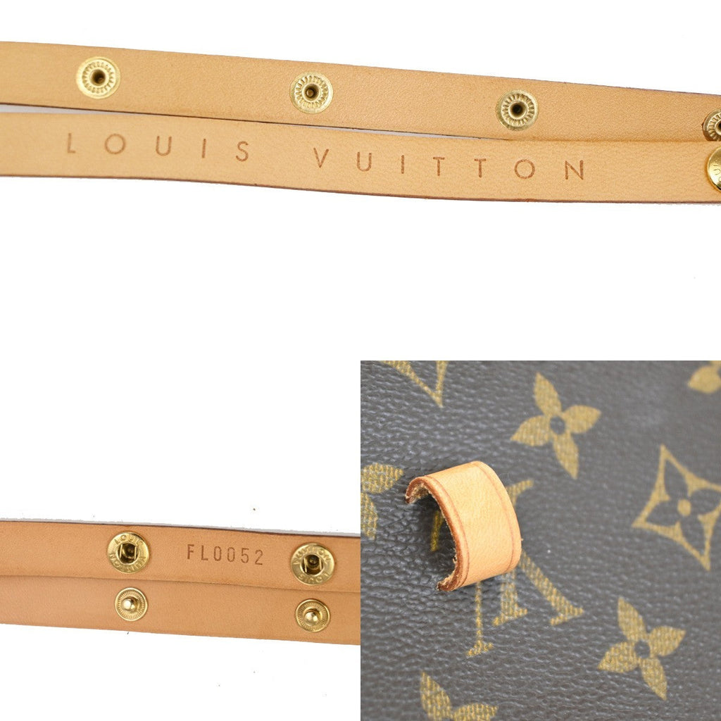Louis Vuitton Florentine Waist Bag Monogram Canvas Brown Canvas Clutche & Pouche Bag