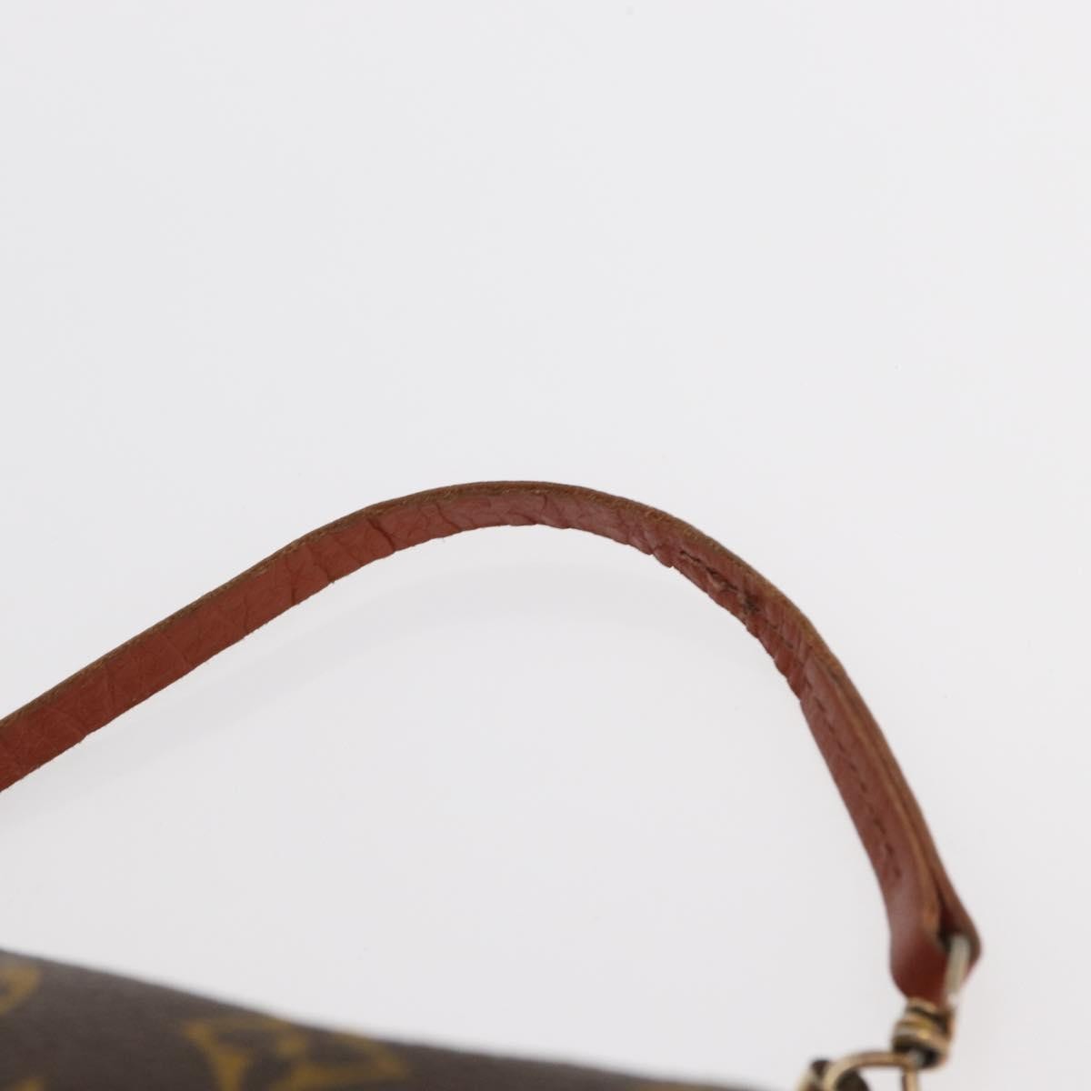 Louis Vuitton Papillon Pochette Monogram Canvas Brown Canvas Clutche & Pouche Bag