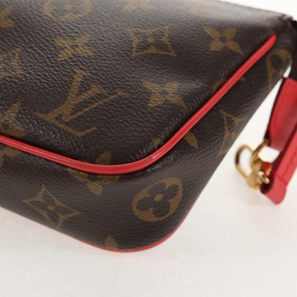 Louis Vuitton Pochette Accessoires Nm Limited Edition Totem Monogram Canvas Brown Canvas Clutche & Pouche Bag