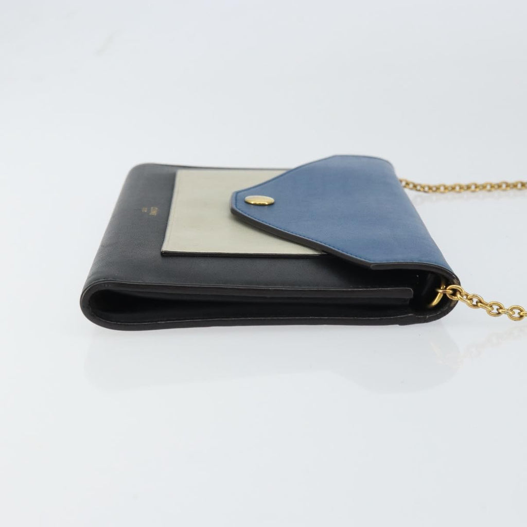 Celine Pocket Envelope Wallet On Chain Leather Multicolour Leather Clutche & Pouche Bag