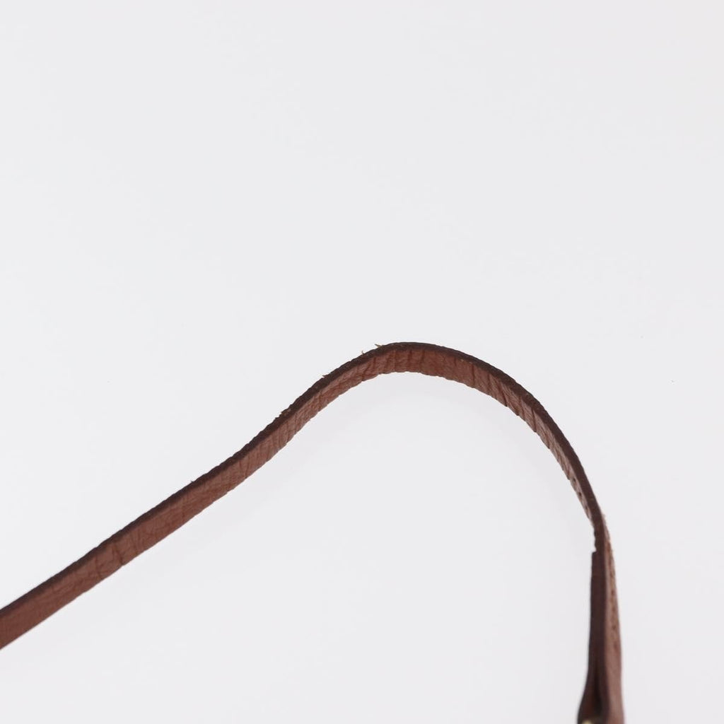 Louis Vuitton Papillon Pochette Monogram Canvas Brown Canvas Clutche & Pouche Bag