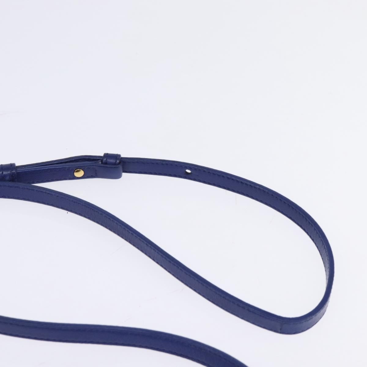 Celine Trio Crossbody Bag Leather Blue Leather Crossbody Bag Bag