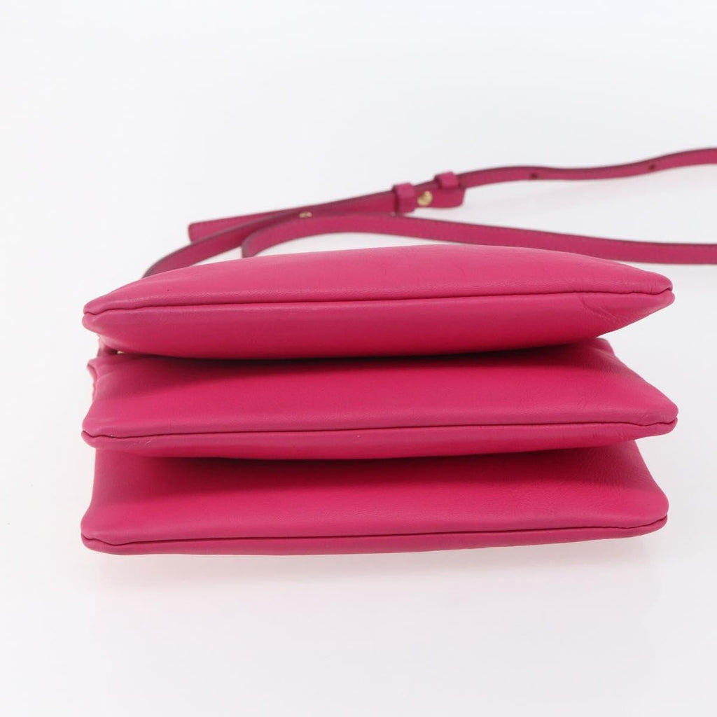 Celine Trio Crossbody Bag Leather Pink Leather Shoulder Bag Bag