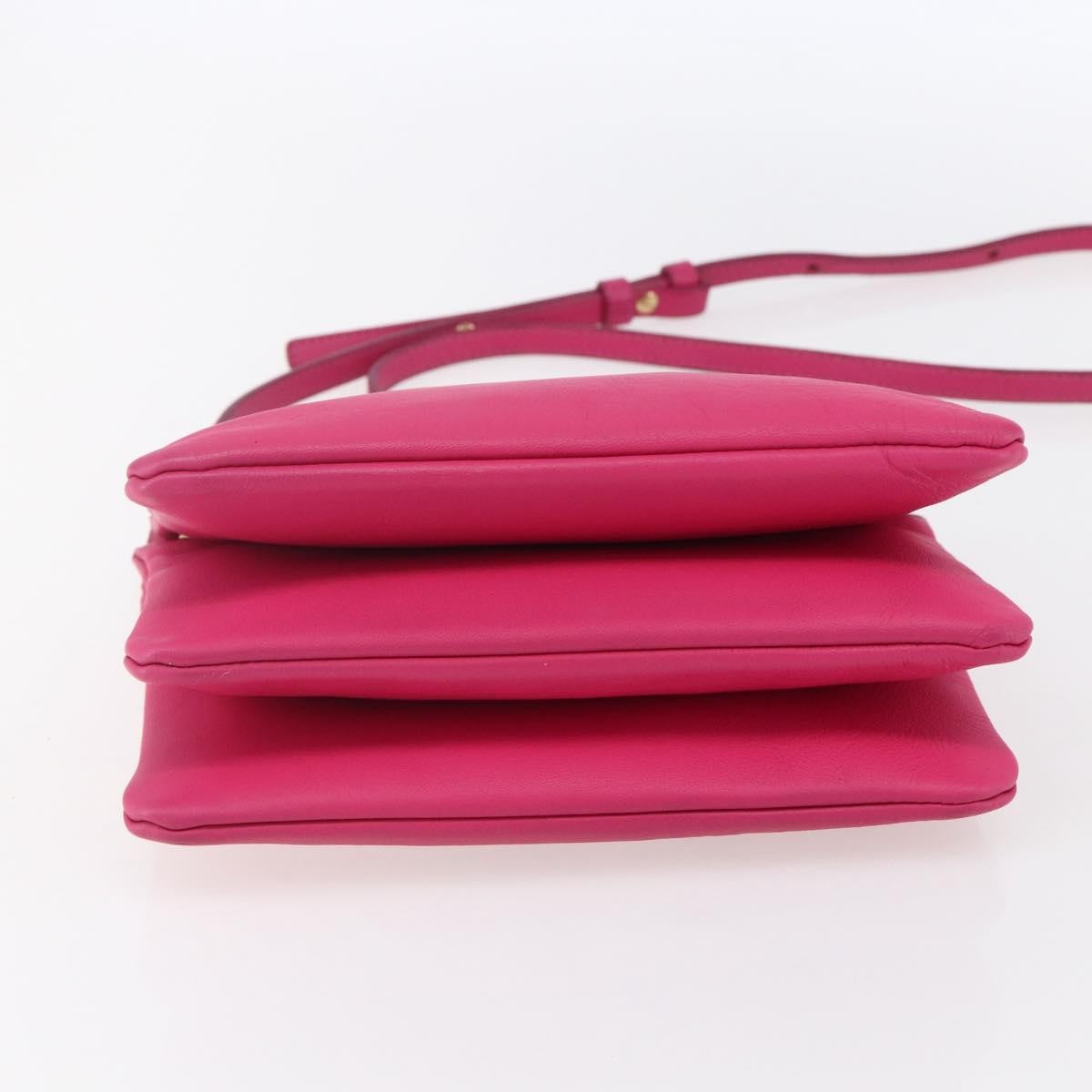 Celine Trio Crossbody Bag Leather Pink Leather Shoulder Bag Bag