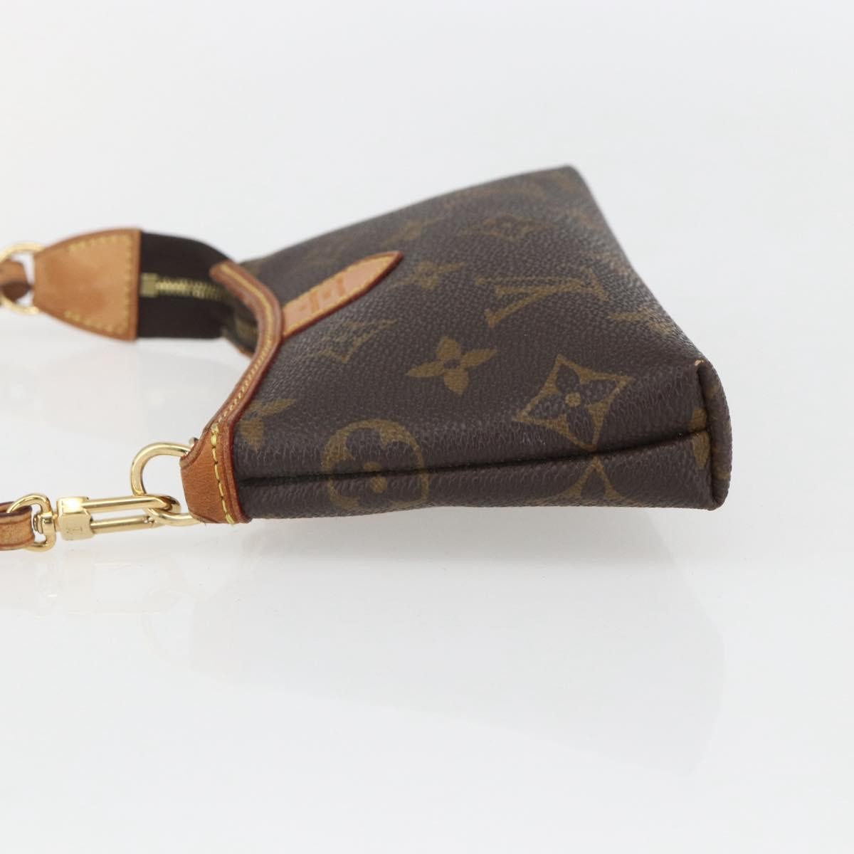 Louis Vuitton Delightful Pochette Monogram Canvas Brown Canvas Clutche & Pouche Bag