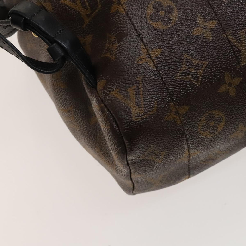 Louis Vuitton Palm Springs Backpack Monogram Canvas Brown Canvas Backpack Bag