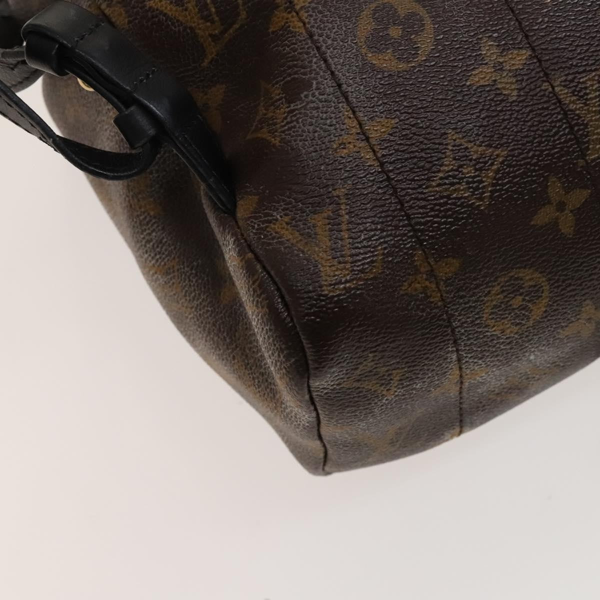 Louis Vuitton Palm Springs Backpack Monogram Canvas Brown Canvas Backpack Bag