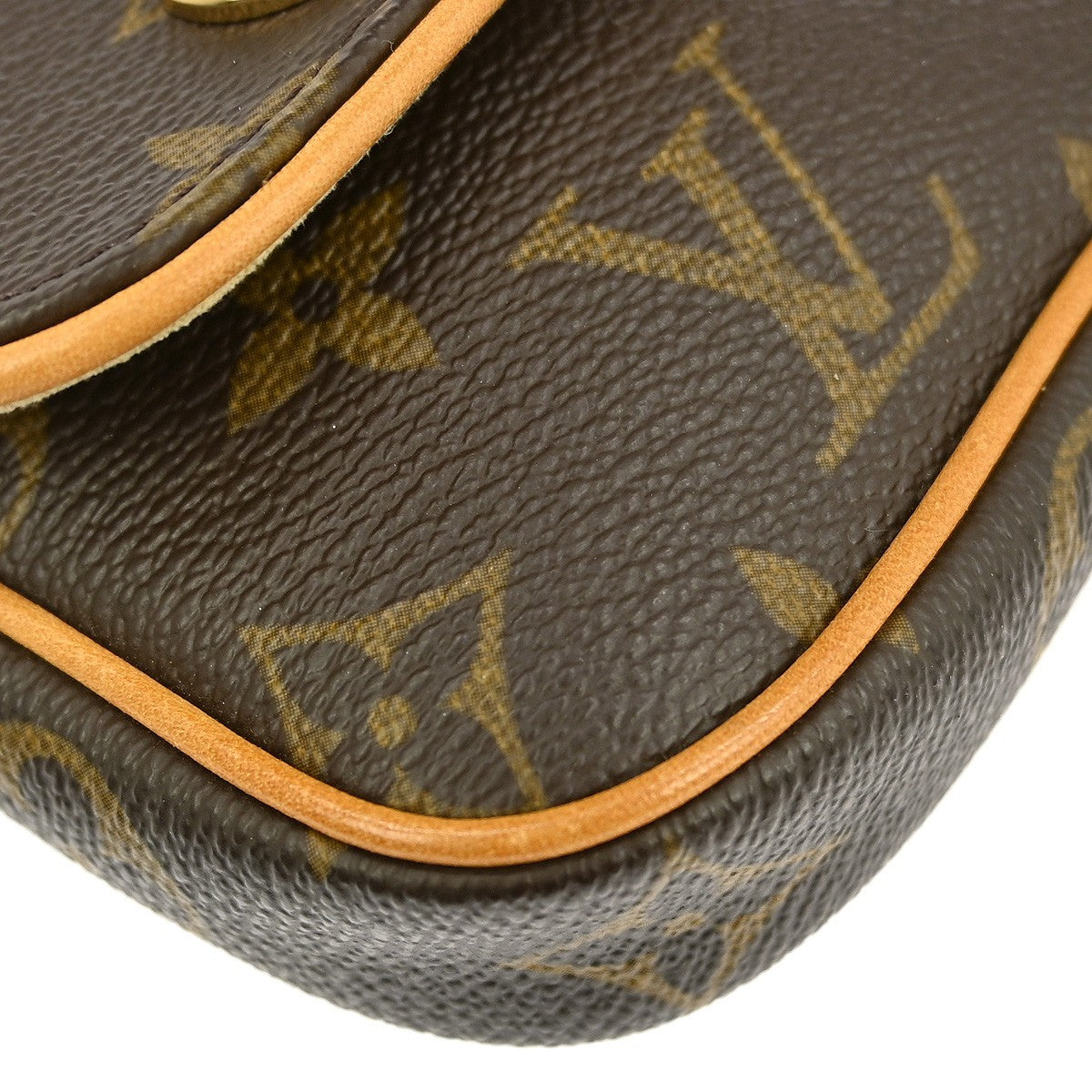 Louis Vuitton Cancun Pochette Monogram Canvas Brown Canvas Clutche & Pouche Bag