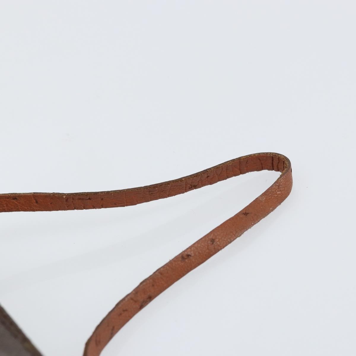 Louis Vuitton Papillon Pochette Monogram Canvas Brown Canvas Clutche & Pouche Bag
