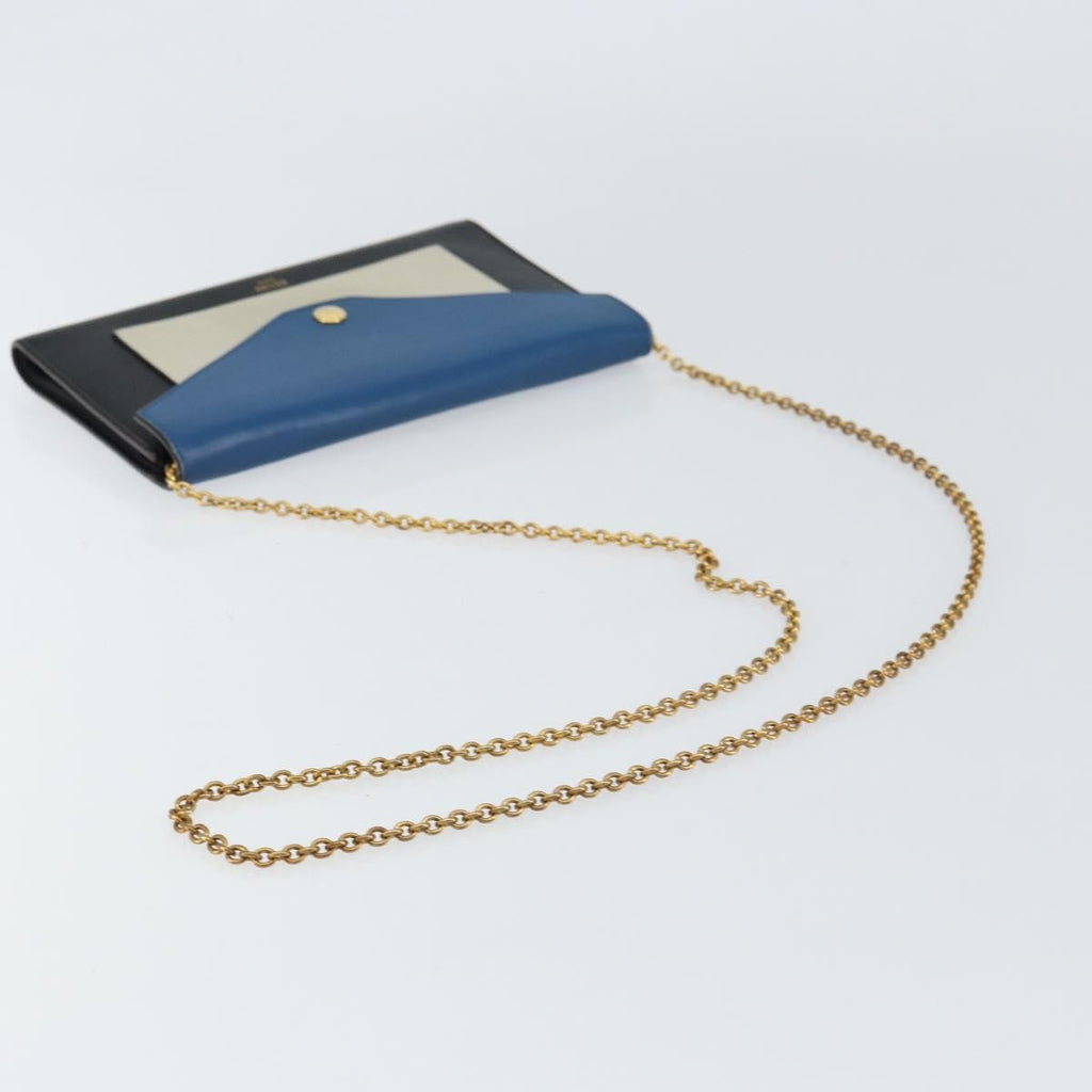 Celine Pocket Envelope Wallet On Chain Leather Multicolour Leather Clutche & Pouche Bag