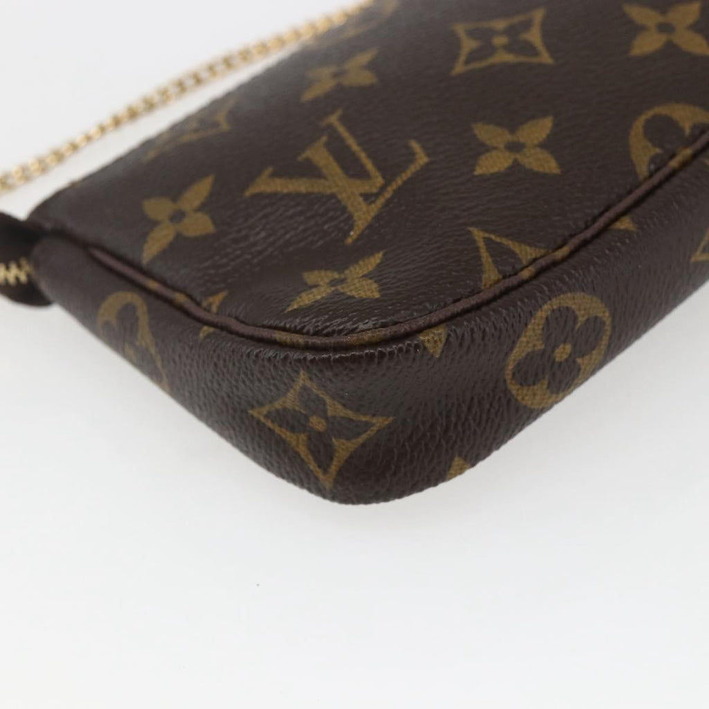 Louis Vuitton Pochette Accessoires Limited Edition Monogram Trunk Brown Canvas Clutche & Pouche Bag
