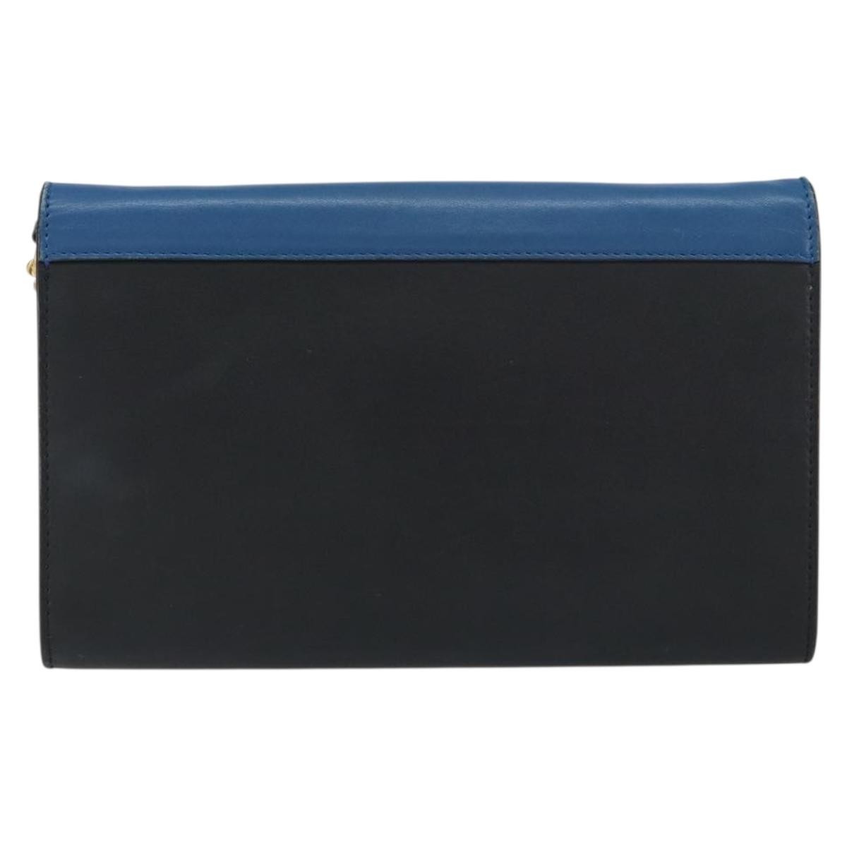 Celine Pocket Envelope Wallet On Chain Leather Multicolour Leather Clutche & Pouche Bag