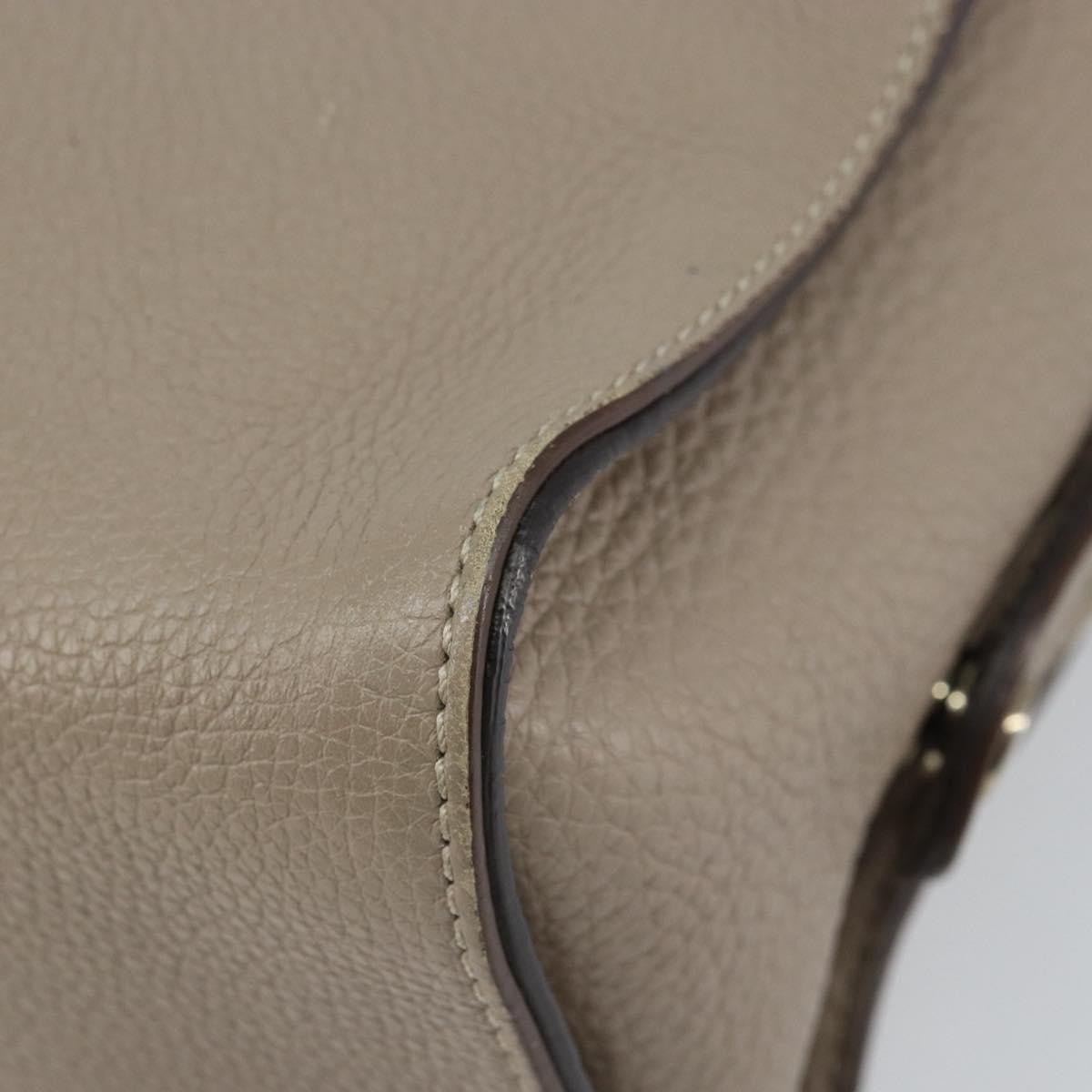 Fendi Selleria Lei Bag Leather Gray Leather Handbag