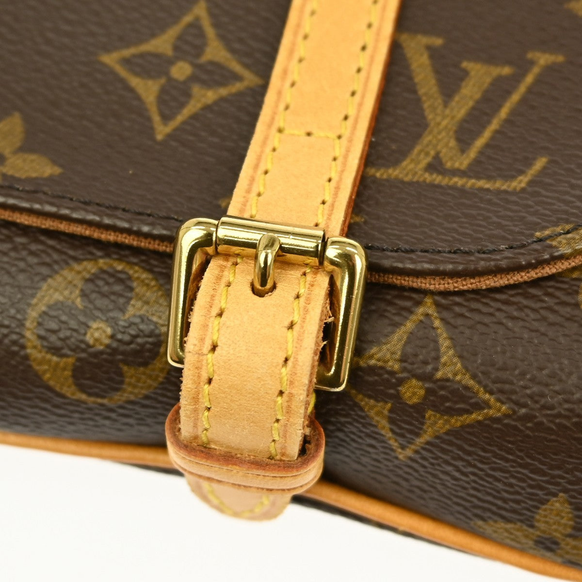Louis Vuitton Marelle Waist Bag Monogram Canvas Brown Canvas Clutche & Pouche Bag