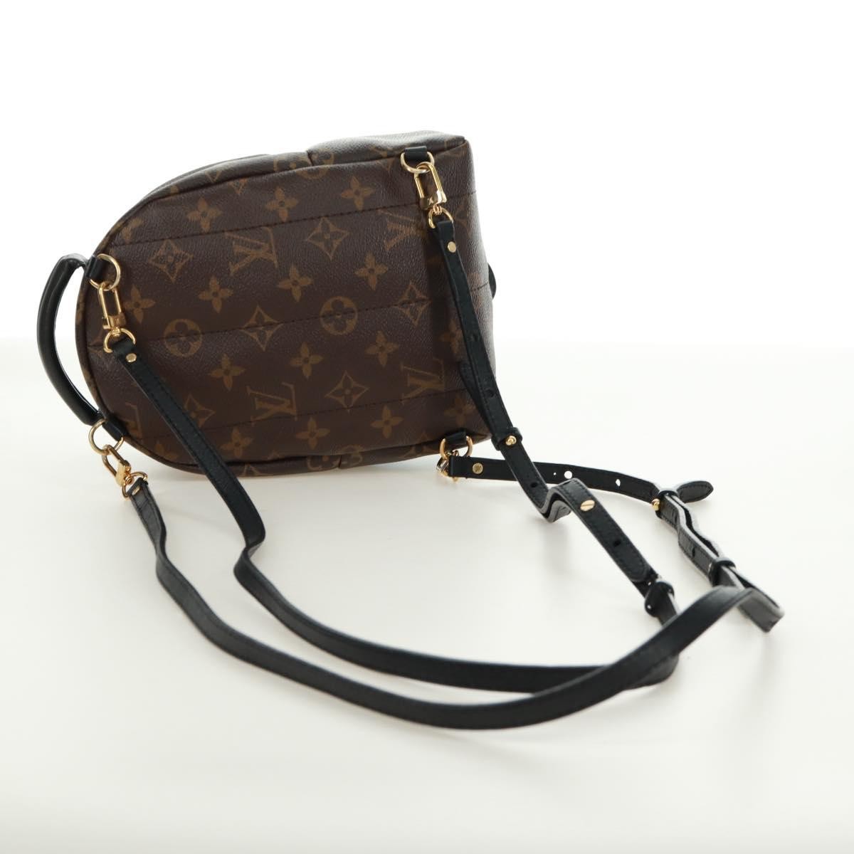 Louis Vuitton Palm Springs Backpack Limited Edition World Tour Monogram Canvas Brown Canvas Backpack Bag