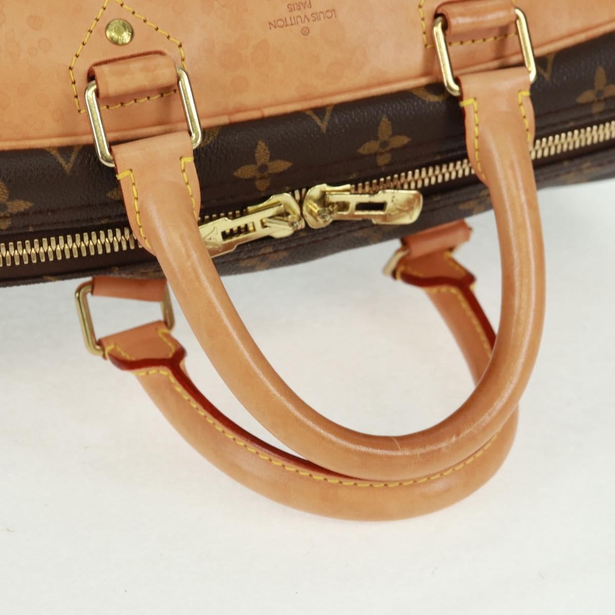 Louis Vuitton Evasion Travel Bag Monogram Canvas Brown Canvas Travel Bag