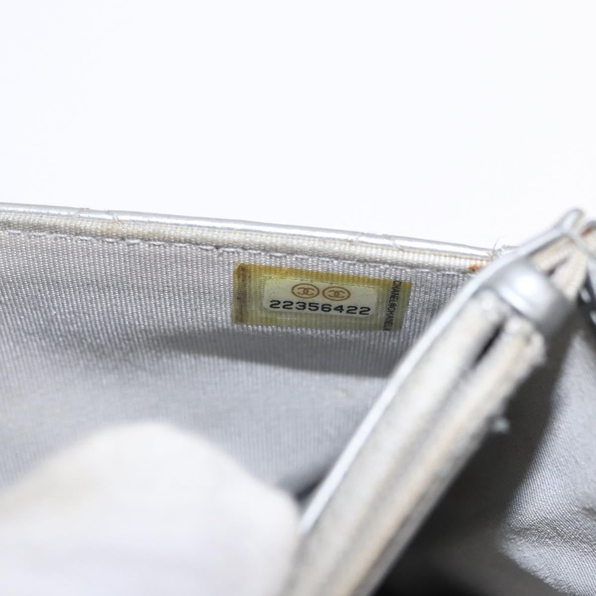 Chanel Reissue 2.55 Wallet On Chain Quilted Lambskin Silver Leather Shoulder Bag Bag