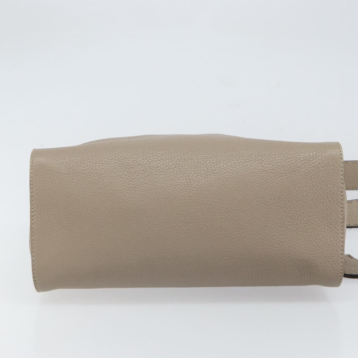 Fendi Selleria Lei Bag Leather Gray Leather Handbag